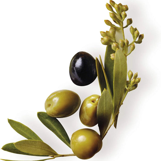 GARNIER ULTRA DOLCE HAIR REMEDY OLIVA MITIC 340 ML