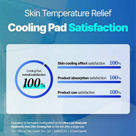 Isntree Molecular Hyaluronic Acid Zinc Cooling Pad