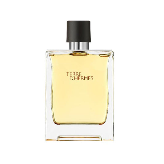 Hermes Paris Terre D Edp 100 ML